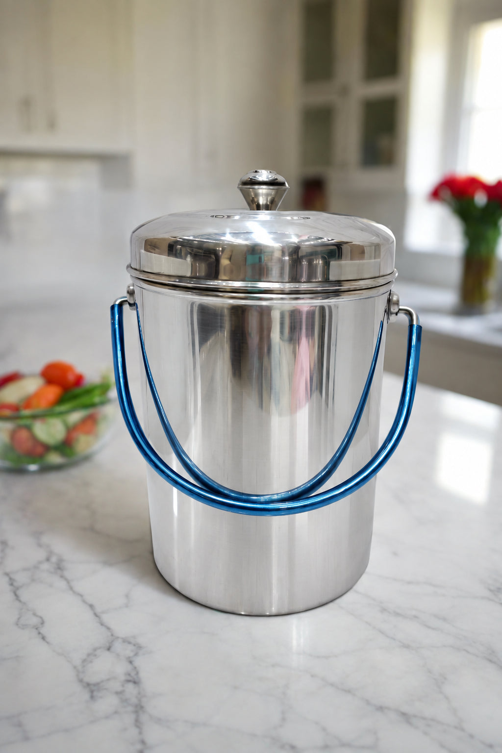 Stainless steel storage container with wire carry handle and lid | Saify Homes